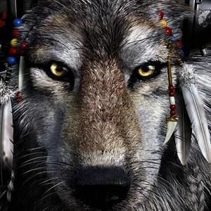 Meet your Posher, Jeffrey